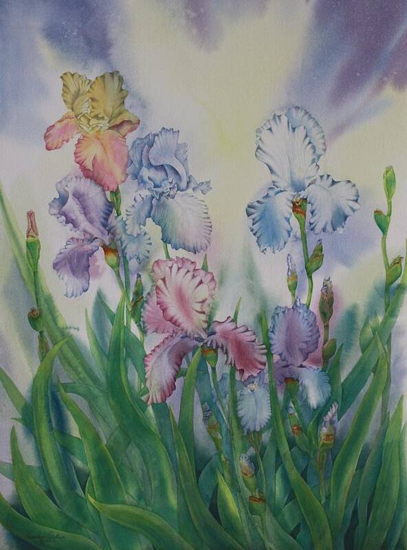 Iris Art Print featuring the painting Ruffled Effect by Heather Gallup