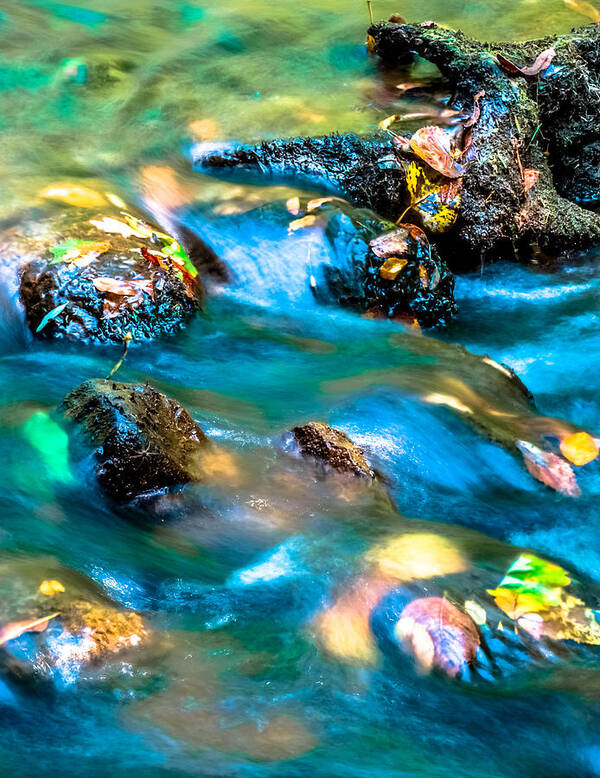 Optical Playground By Mp Ray Art Print featuring the photograph Rushing water over fall leaves by Optical Playground By MP Ray