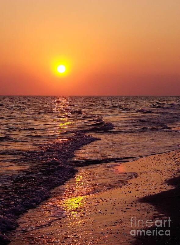 Bestseller Art Print featuring the photograph Sanibel Sunset by D Hackett