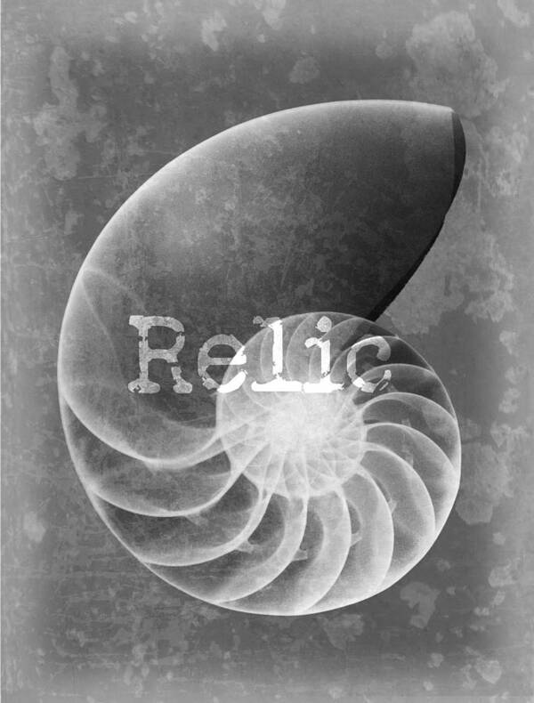 X-ray Art Art Print featuring the photograph Sea Shell Relic Logo by Roy Livingston