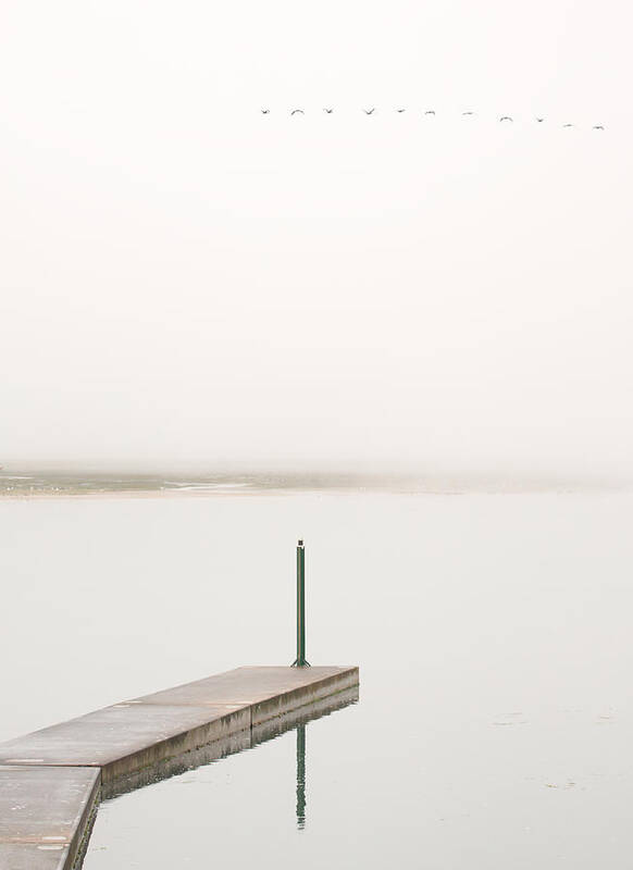Fog Art Print featuring the photograph Semaphore In Green by Jesus Concepcion