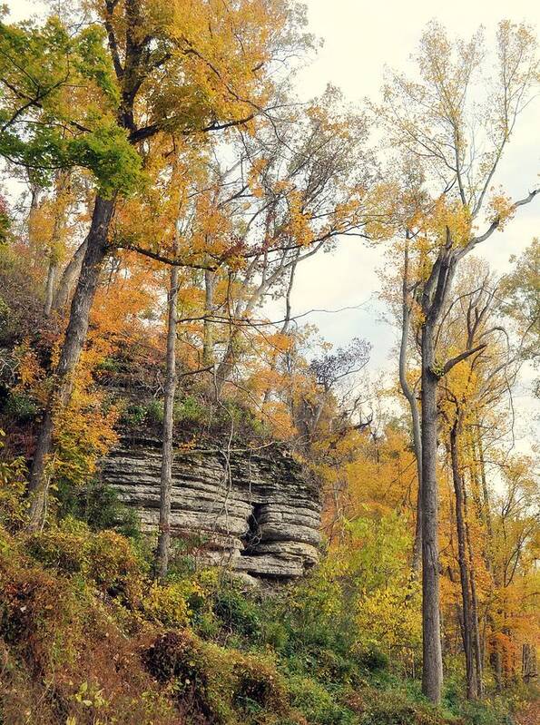 Bluff Art Print featuring the photograph Shawee Bluff in Fall by Marty Koch