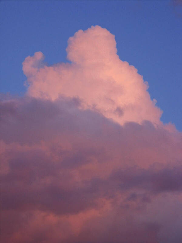 Sky Clouds Sunset Art Print featuring the photograph Sky Song 2 by Laurie Stewart