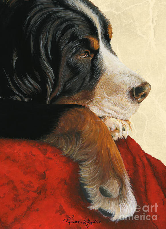 Bernese Mountain Dog Art Print featuring the painting Slumber by Liane Weyers