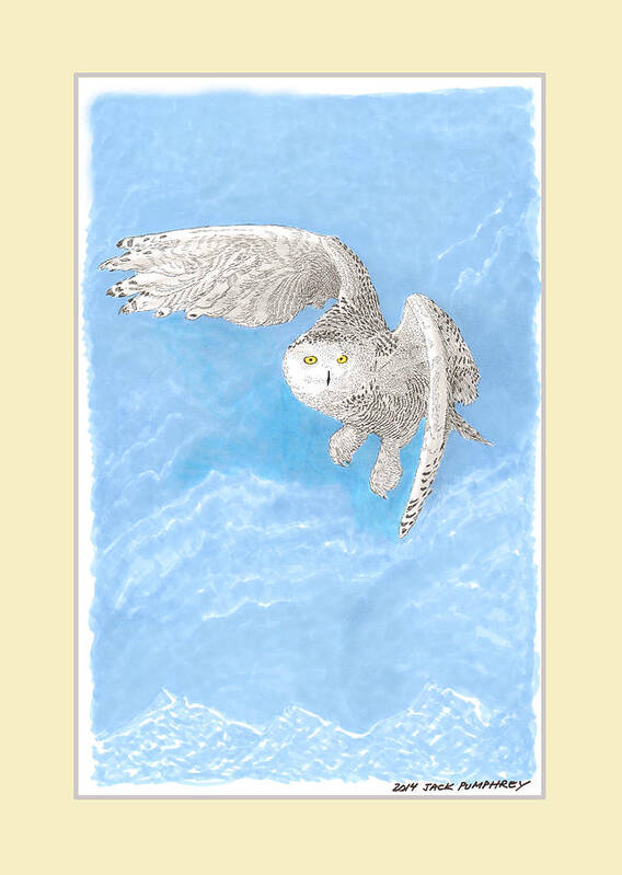 A Pen & Ink Drawing Of The Snowy White Owl Art Print featuring the painting Snowy White Owl Art by Jack Pumphrey