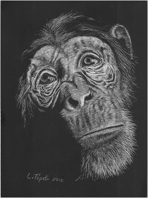 Wildlife Art Print featuring the drawing Soulful by Lawrence Tripoli
