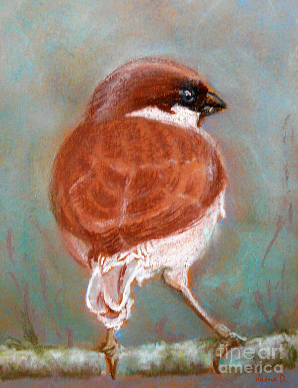 Sparrow Art Print featuring the painting Sparrow by Jasna Dragun