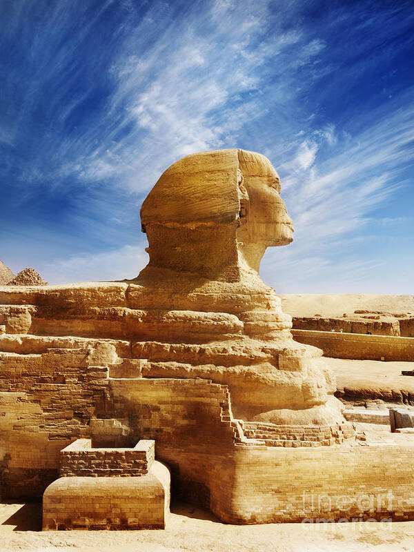 Sphinx Art Print featuring the photograph Sphinx by Jelena Jovanovic