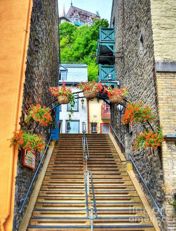 Steps Of Old Quebec Art Print featuring the photograph Steps Of Old Quebec by Mel Steinhauer