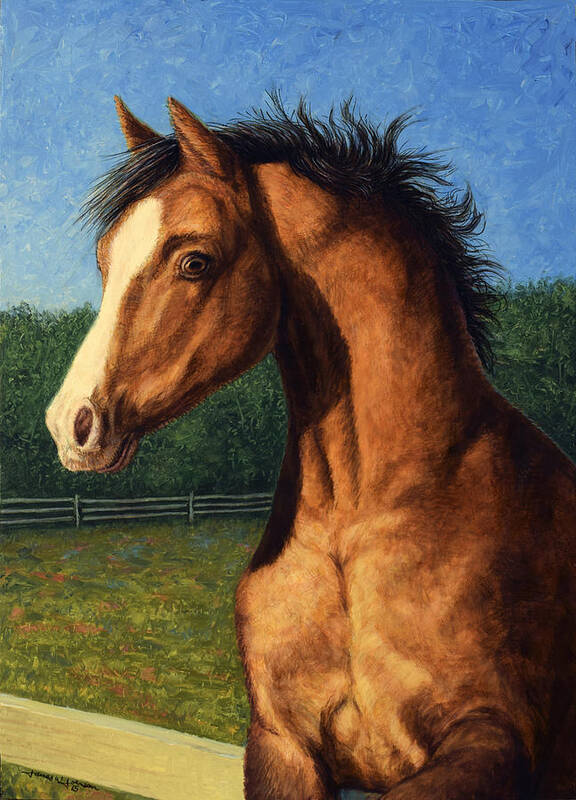 Horse Art Print featuring the painting Stir Crazy by James W Johnson