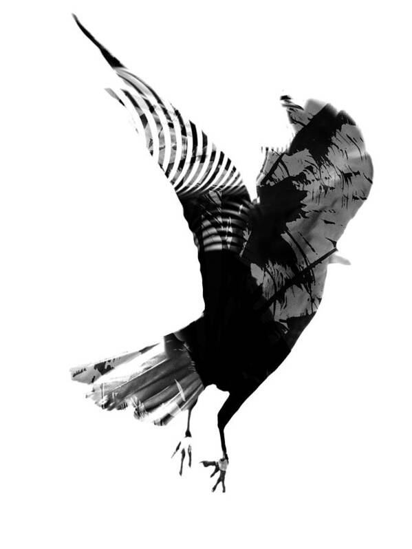 Crow Art Print featuring the photograph Street Crow by J C