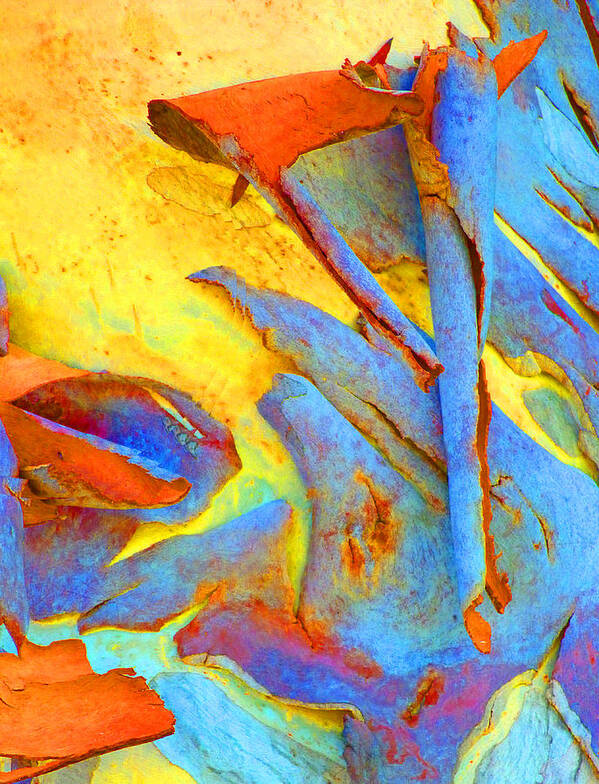 Eucalypt Art Print featuring the photograph Summer Eucalypt Abstract 29 by Margaret Saheed
