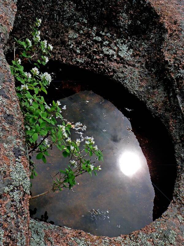 Reflections Art Print featuring the photograph Sun reflection by George Tuffy