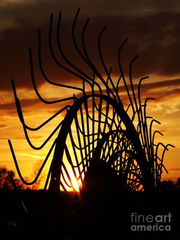 Landscape Photography Art Print featuring the photograph Sunset Rake by J L Zarek