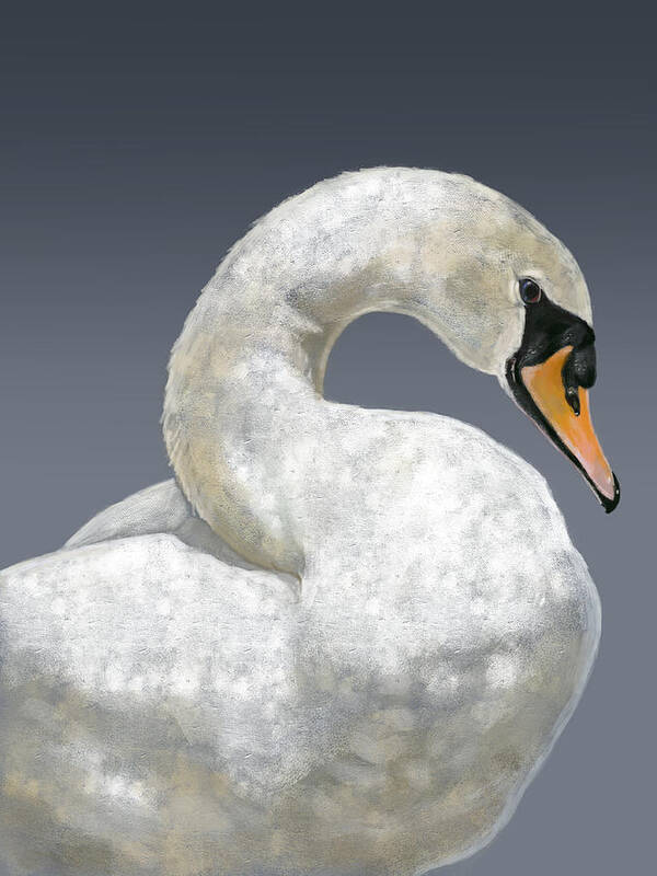 Gracious Art Print featuring the digital art Swan by Arie Van der Wijst