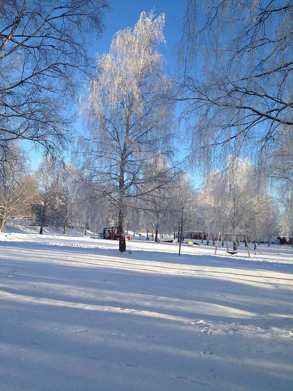 Nature - Peace Art Print featuring the photograph Swedish Winter by Nyembezi Gore