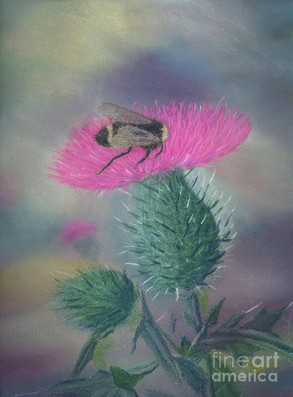 Thistle Art Print featuring the painting Sweet and Prickly by Lynn Quinn