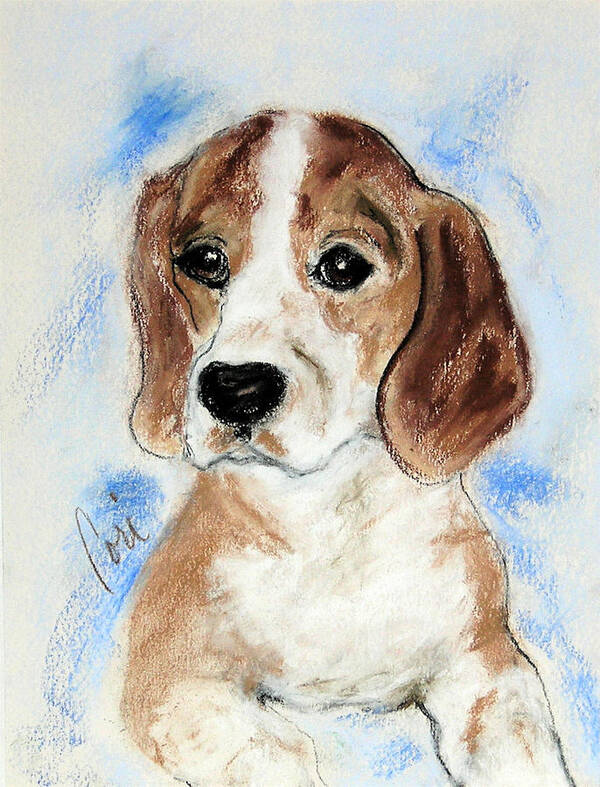 Dog Art Print featuring the drawing Sweet Innocence by Cori Solomon