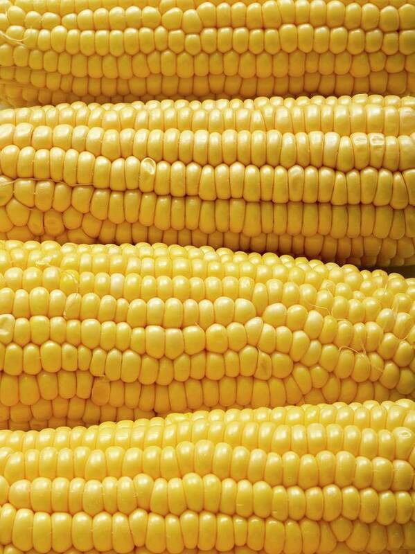 Close Up Art Print featuring the photograph Sweetcorn by Science Photo Library