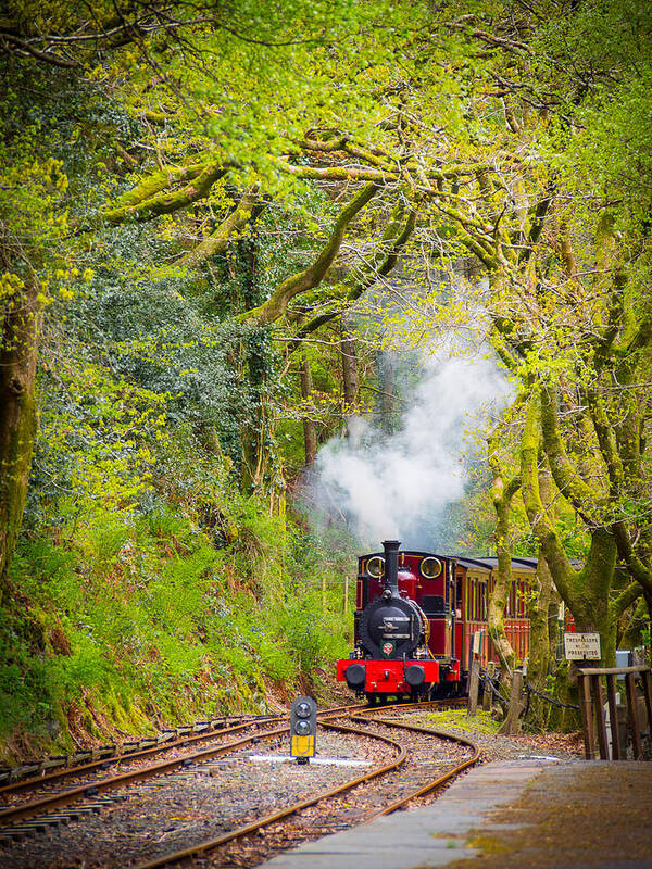 Abergynolwyn Art Print featuring the photograph Talyllyn Railway Loco No 2 by Mark Llewellyn