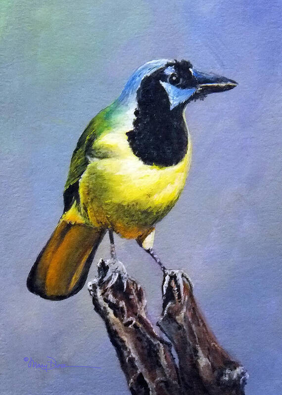 Mary Dove Art Art Print featuring the painting Texas Green Jay by Mary Dove