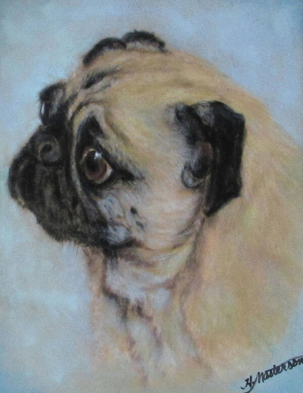 Dog Art Print featuring the pastel Pug's Worried Look by Harriett Masterson