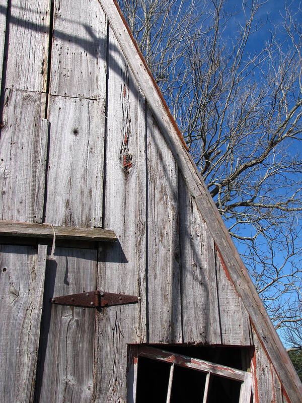 The Barn Art Print featuring the photograph The Barn by Beth Vincent