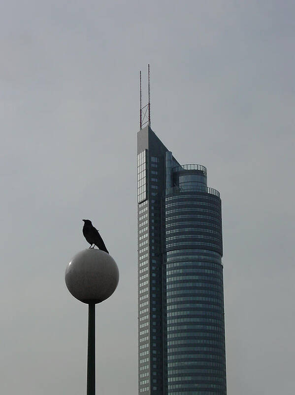 Architecture Art Print featuring the photograph The Crow and the Milleniumtower in Winter by Menega Sabidussi