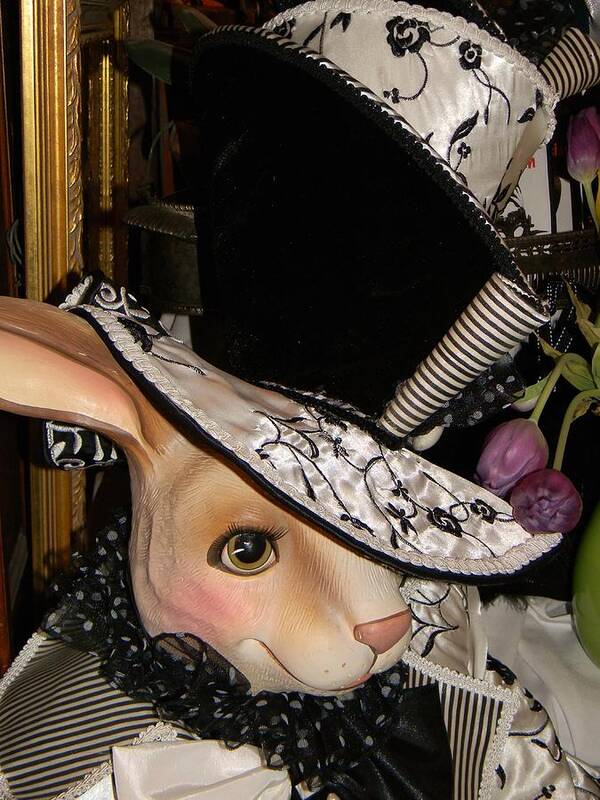 Whimsical Art Print featuring the photograph The Hat by Jean Goodwin Brooks