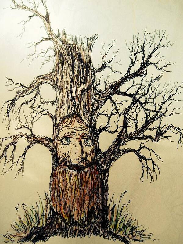  Art Print featuring the drawing The old man in the tree by Megan Walsh