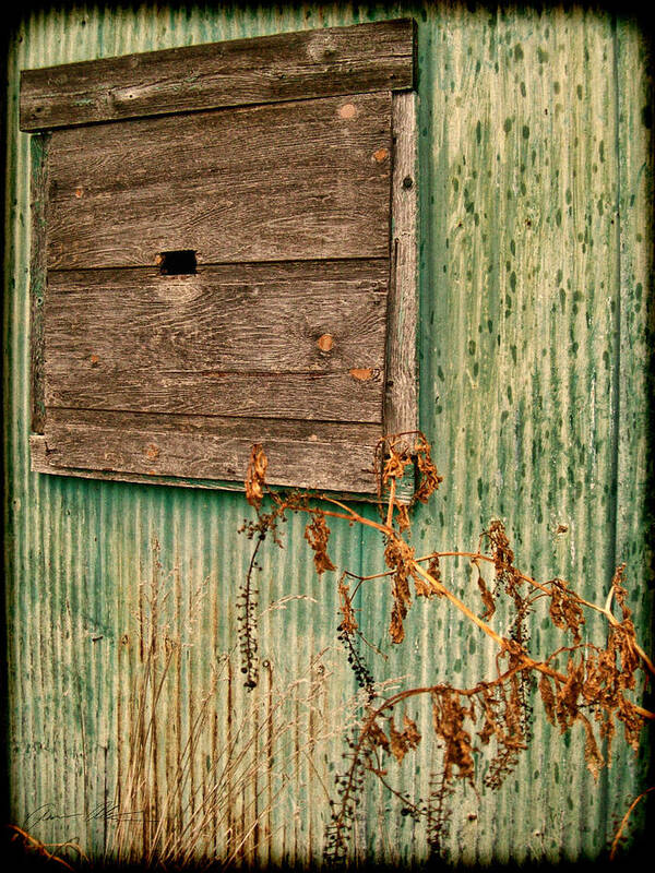 Barn Art Print featuring the photograph The Outside by Off The Beaten Path Photography - Andrew Alexander