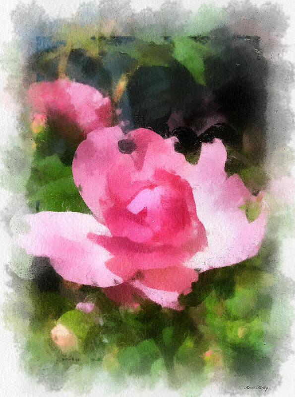 The Rose Art Print featuring the photograph The Rose by Kerri Farley