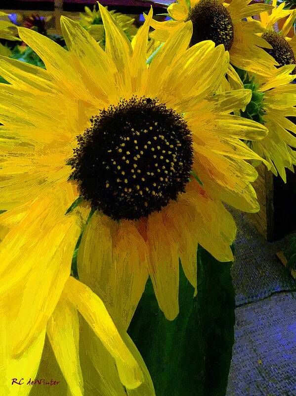 Sunflower Art Print featuring the painting The Sun King by RC DeWinter