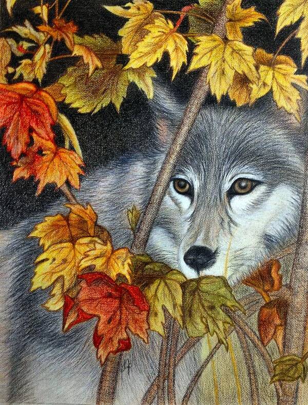 Wolf Art Print featuring the drawing The Watcher by Jo Prevost