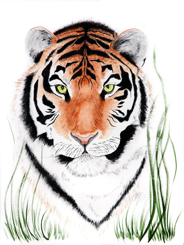 Tiger Art Print featuring the painting Tiger Tiger Where by Joette Snyder