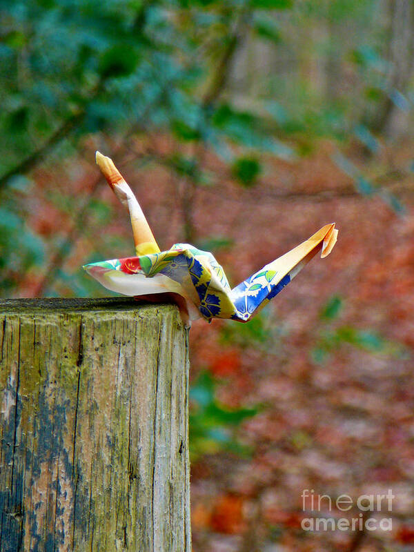 Trail Art Print featuring the photograph Trail Origami by Chris Sotiriadis