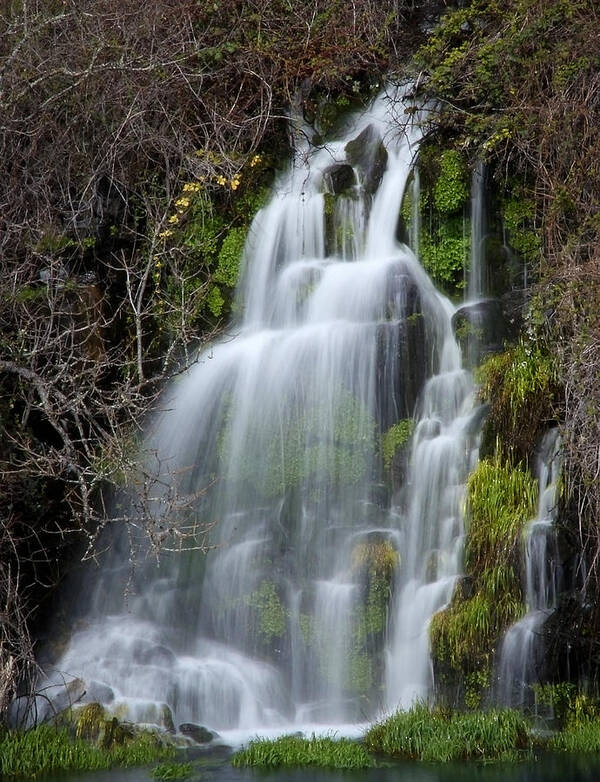 Waterfall Art Print featuring the photograph Tranquil Waterfall by Athena Mckinzie