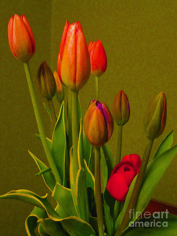Tulips Art Print featuring the photograph Tulips Against Green by Nina Silver