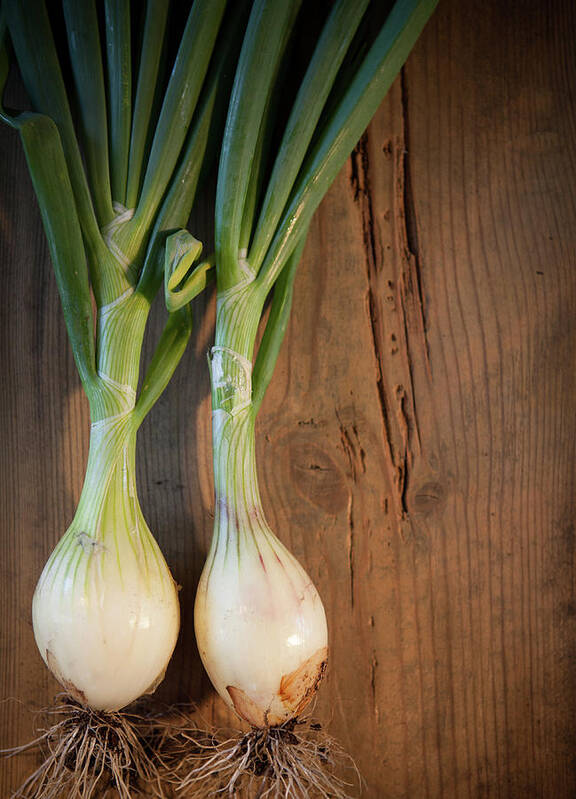 Wood Art Print featuring the photograph Two Onions by Peter Chadwick Lrps