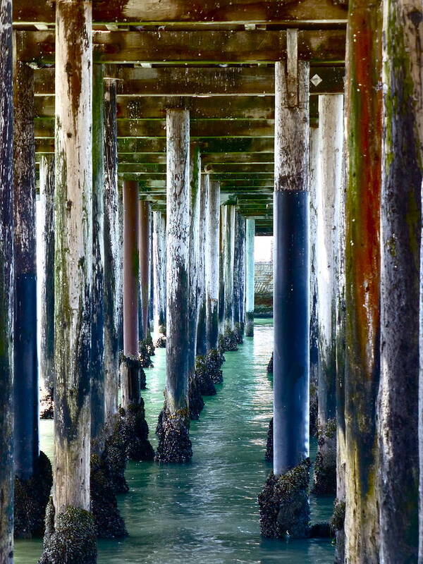 Pier Art Print featuring the photograph Under The Boardwalk by Amelia Racca