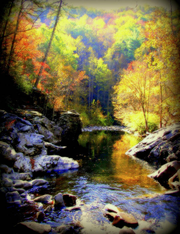 Smokey Mountains Art Print featuring the photograph Upstream by Karen Wiles