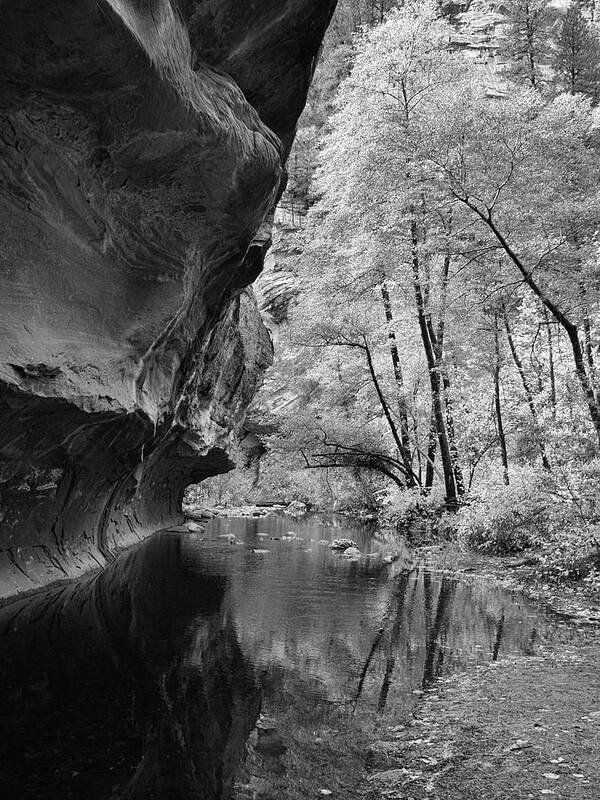 Landscape Art Print featuring the photograph West Fork Reflections - Black and White by Harold Rau