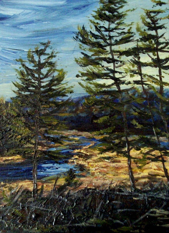 Adirondacks Art Print featuring the painting Wetland Meadow by Denny Morreale