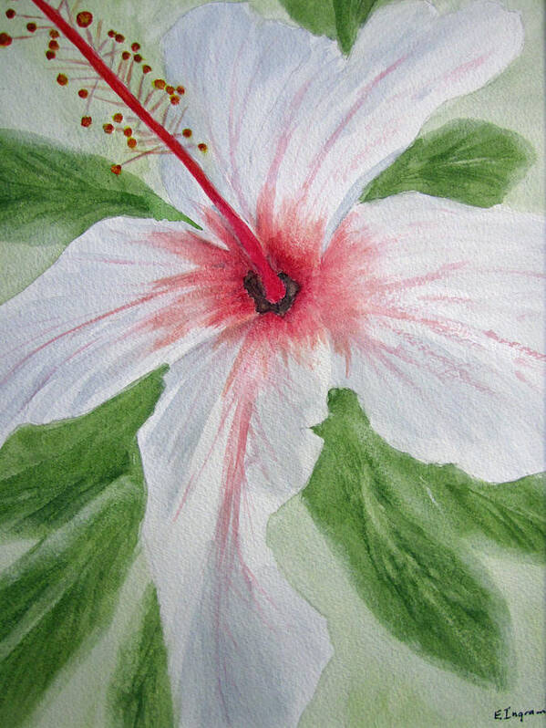 Floral Art Print featuring the painting White Hibiscus Flower by Elvira Ingram