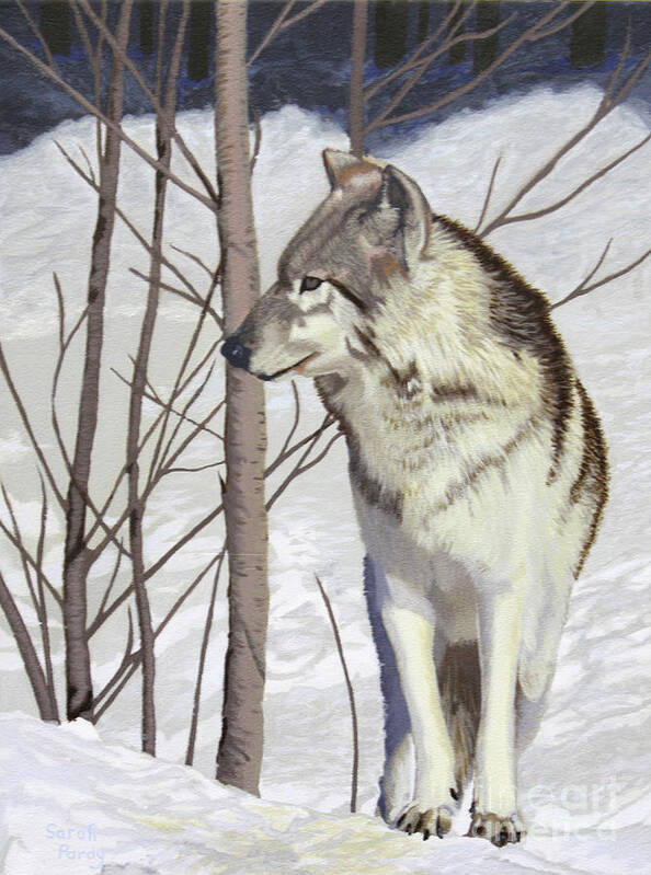 Wolf Art Print featuring the painting Winter Wolf by Margaret Sarah Pardy