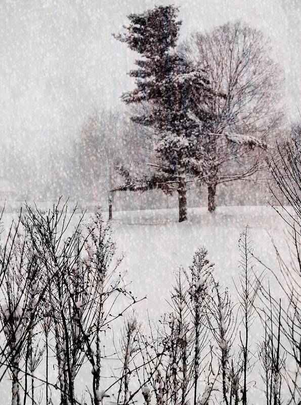 Winter Art Print featuring the digital art Winter Wonder 2 by Maria Huntley