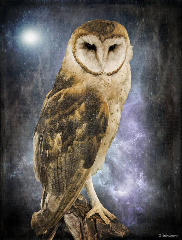 Wise Old Owl Art Print featuring the photograph Wise Old Owl - Image Art by Jordan Blackstone by Jordan Blackstone