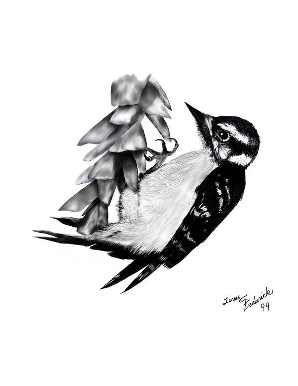 Downy Woodpecker Art Print featuring the digital art Downy Woodpecker by Terry Frederick