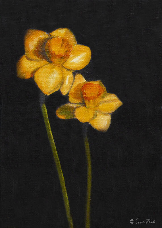 Still Life Art Print featuring the painting Yellow Daffodils by Sarah Parks