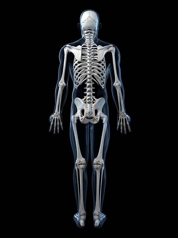 Skeleton Digital Print